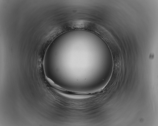 X0000097500555200802221447