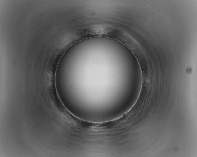 X0000097500556200802221447
