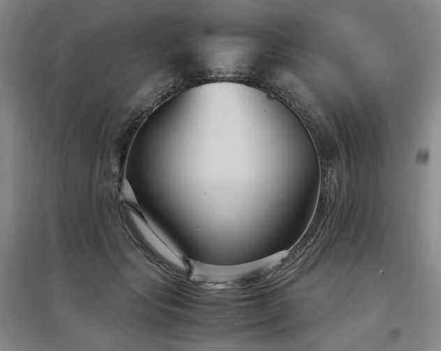 X0000097500557200802221447