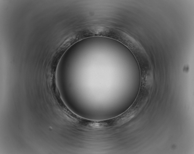 X0000097500558200802221447