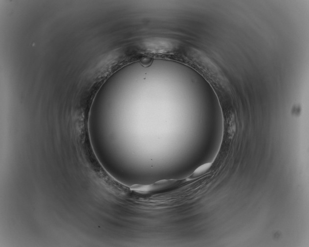 X0000097500559200802221447