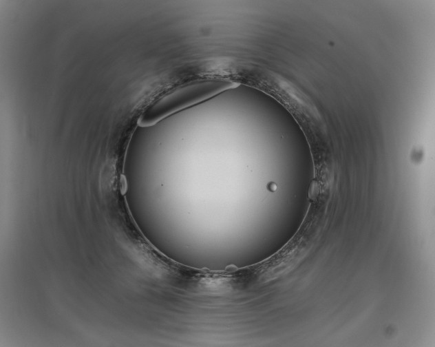 X0000097500560200802221447