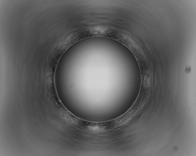 X0000097500561200802221447