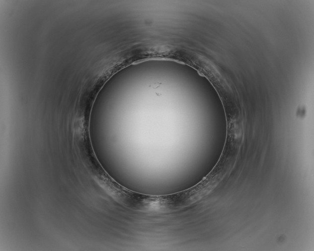 X0000097500564200802221447