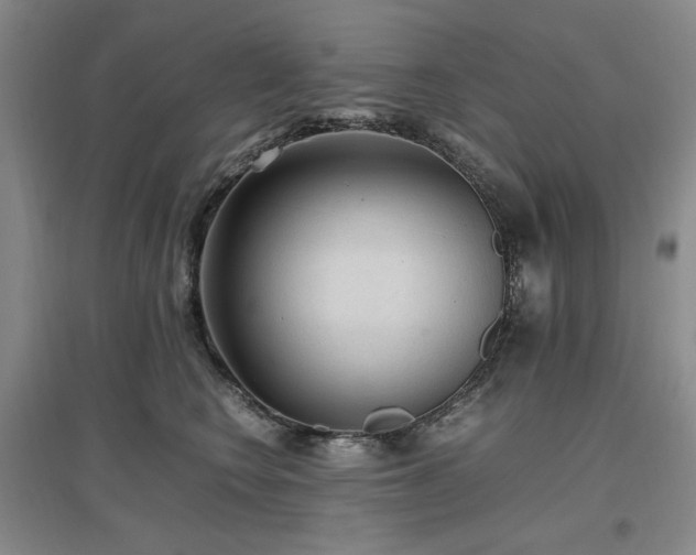 X0000097500566200802221447