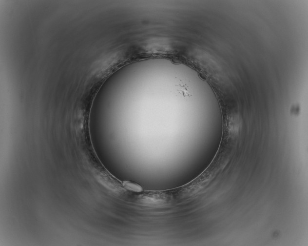 X0000097500567200802221447