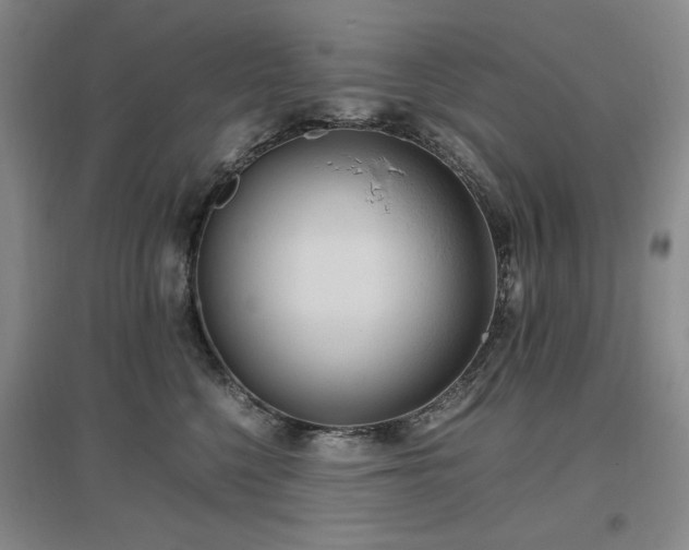 X0000097500568200802221447
