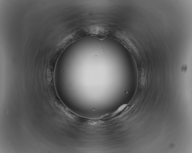 X0000097500569200802221447