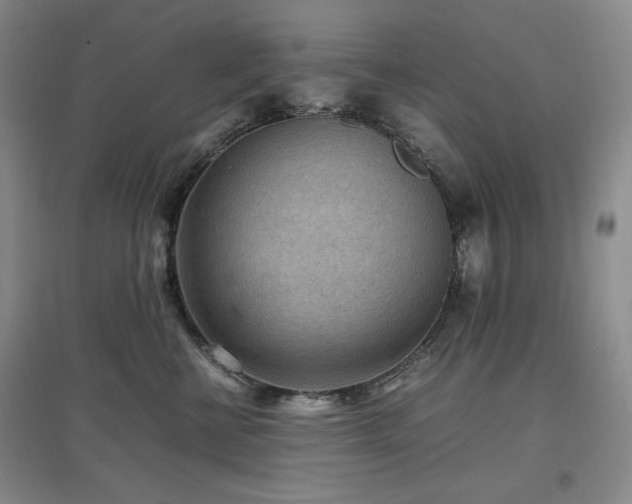 X0000097500570200802221447