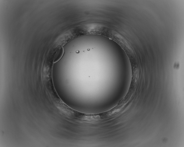 X0000097500571200802221447