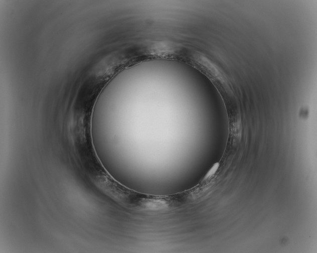 X0000097500572200802221447