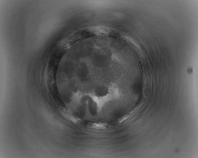 X0000097500573200802221447