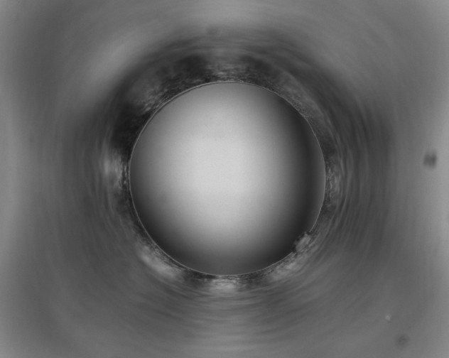X0000097500574200802221447