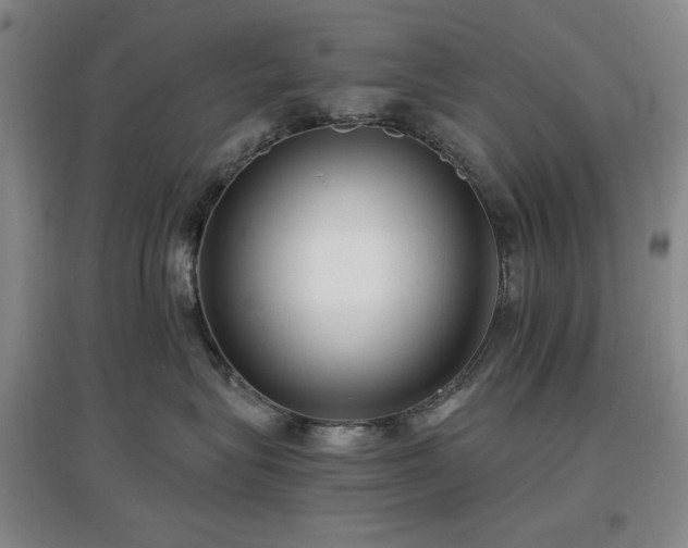 X0000097500575200802221447