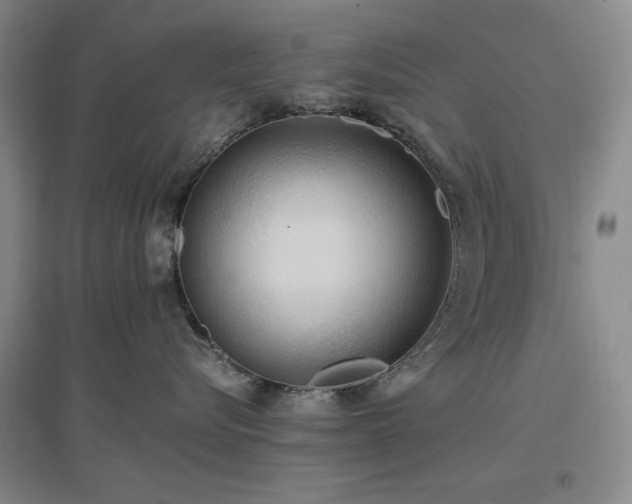 X0000097500576200802221447
