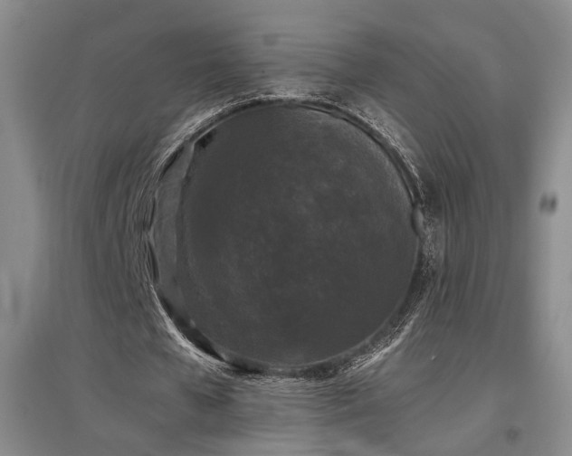 X0000097500577200802221446