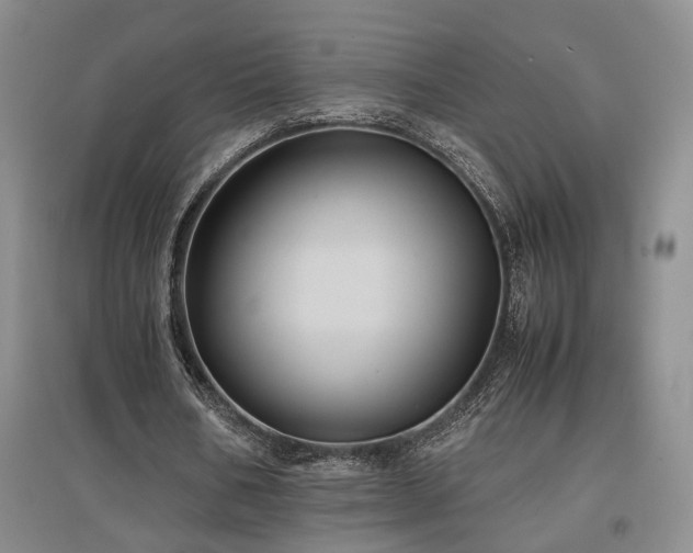 X0000097500578200802221446