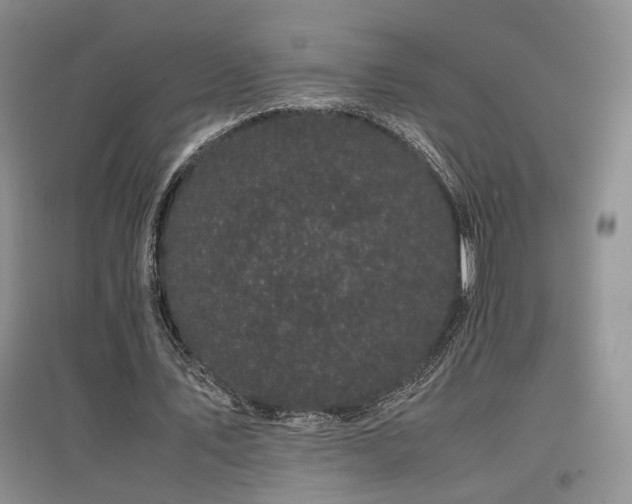 X0000097500579200802221446