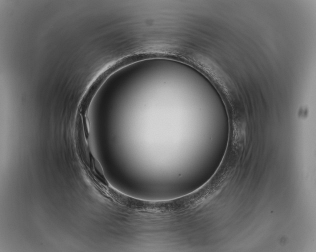 X0000097500580200802221446