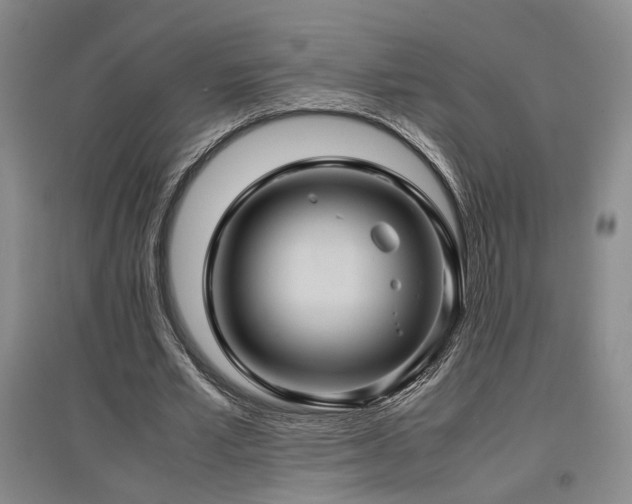 X0000097500581200802221446