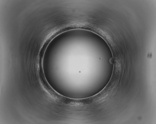 X0000097500582200802221446
