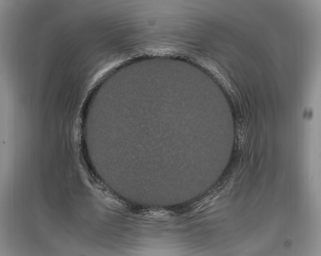 X0000097500583200802221446