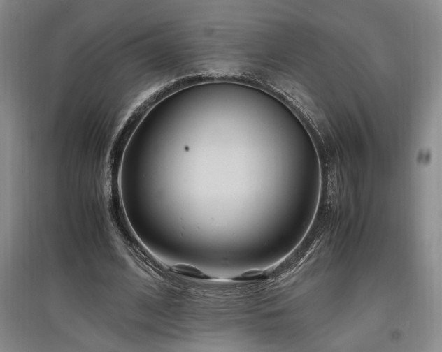 X0000097500584200802221446