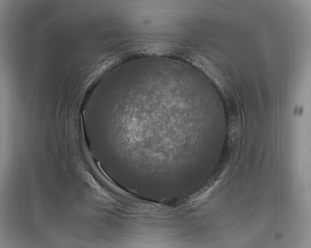 X0000097500585200802221446