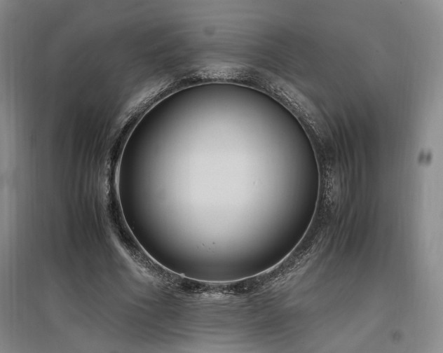 X0000097500586200802221446