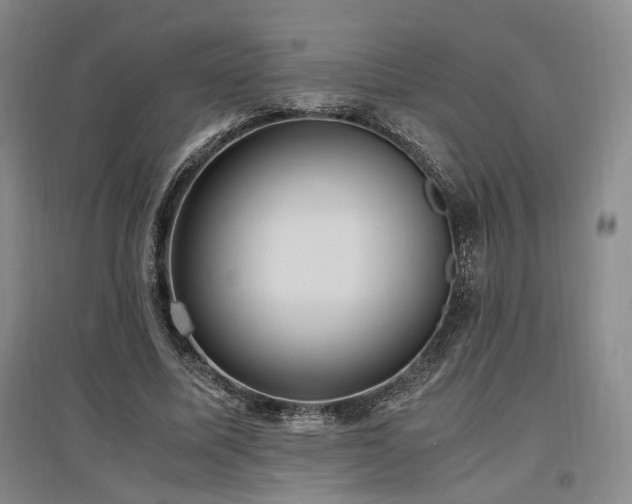 X0000097500587200802221446