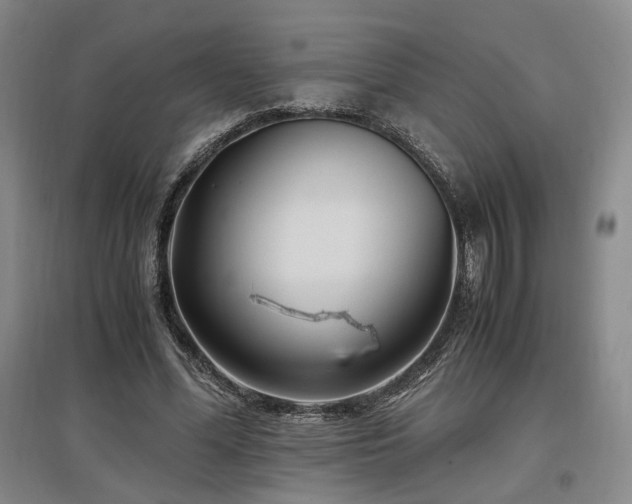 X0000097500588200802221446