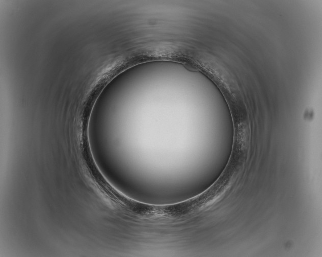 X0000097500589200802221446