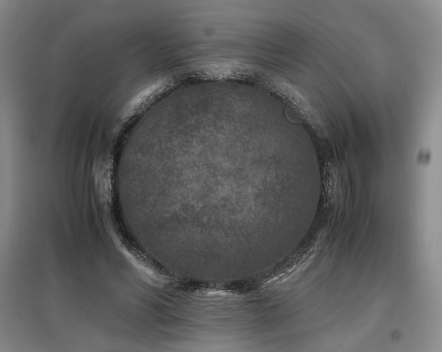 X0000097500590200802221446