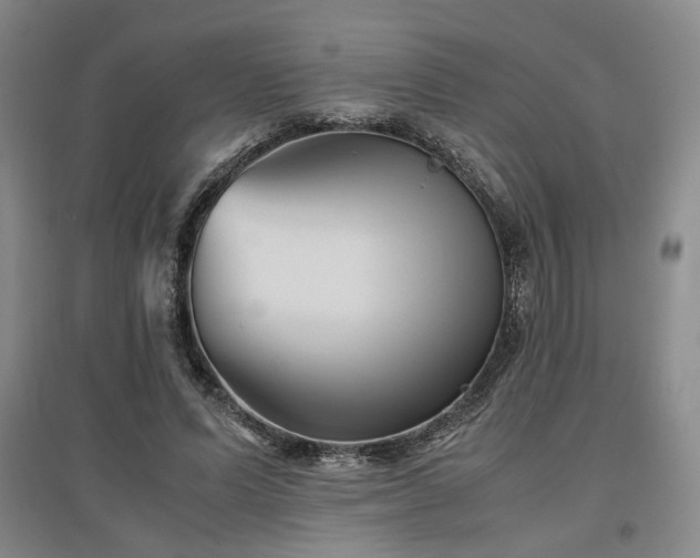 X0000097500591200802221446