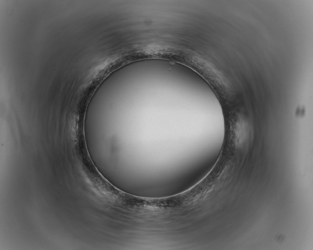 X0000097500592200802221446