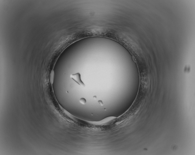 X0000097500593200802221446