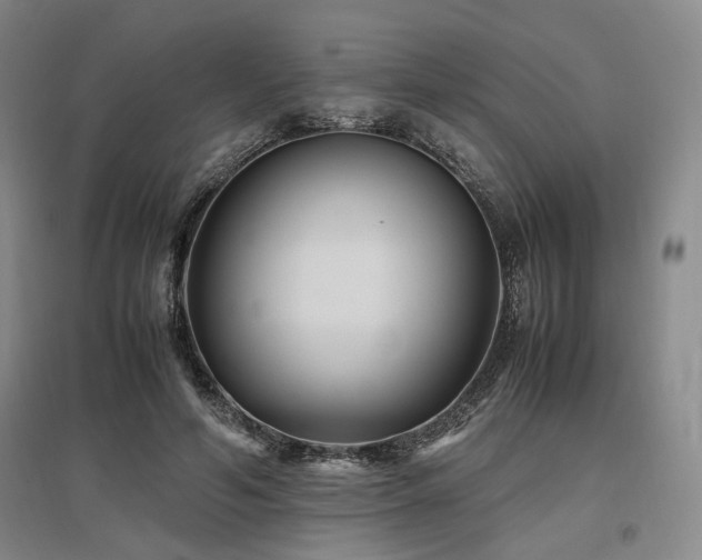 X0000097500594200802221446