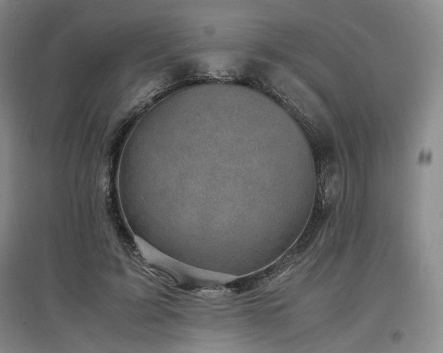 X0000097500595200802221446