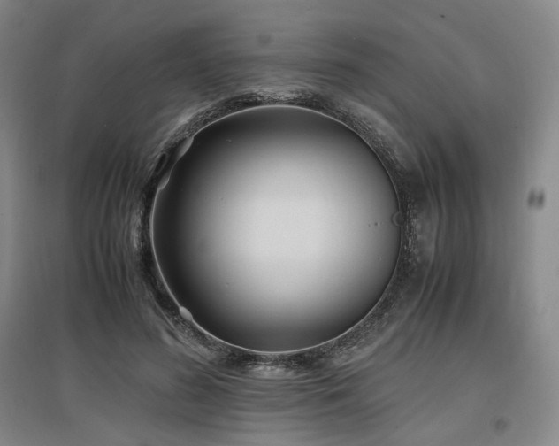 X0000097500596200802221446