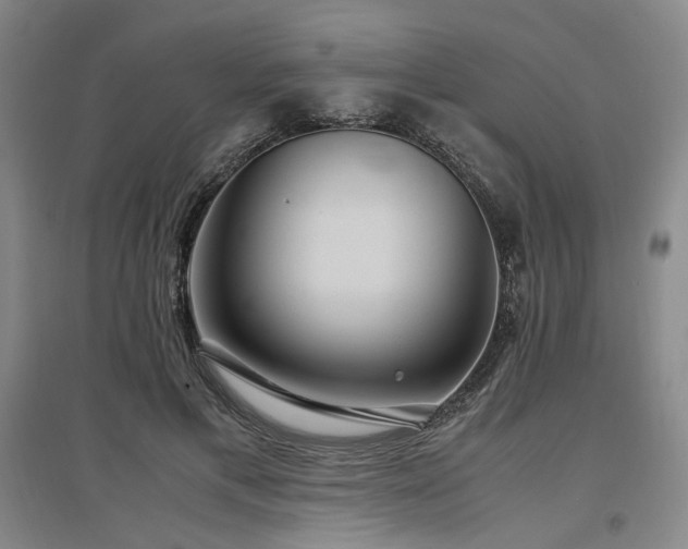 X0000097500597200802221446
