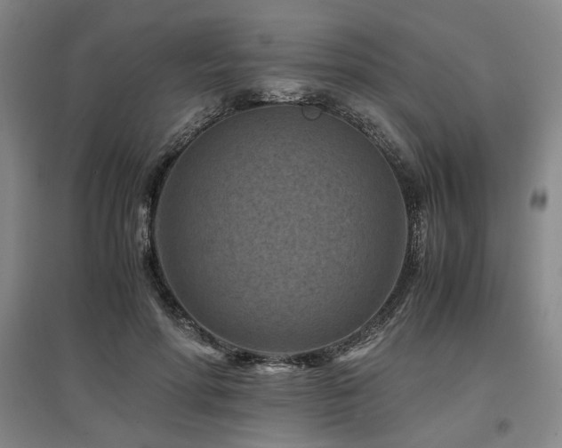 X0000097500598200802221446