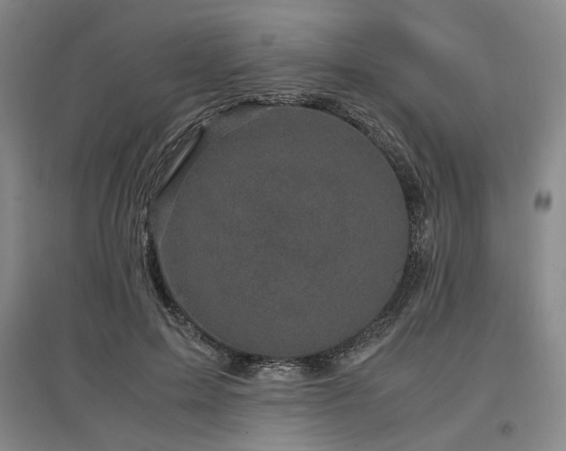 X0000097500599200802221446