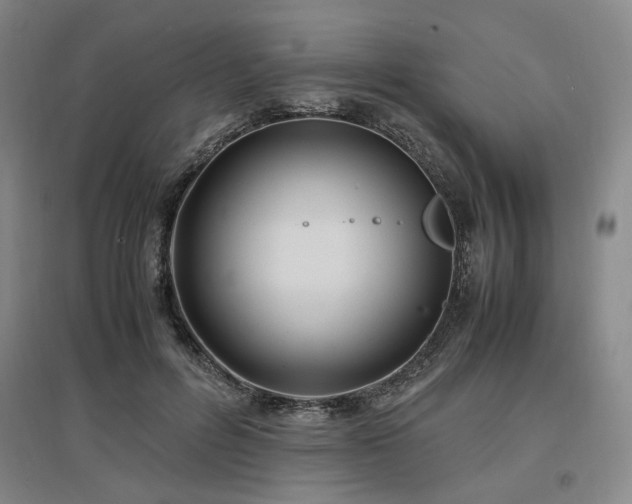 X0000097500600200802221446