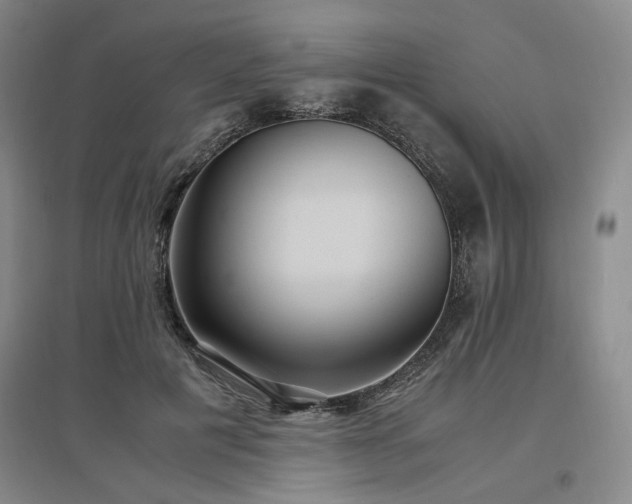 X0000097500601200802221446