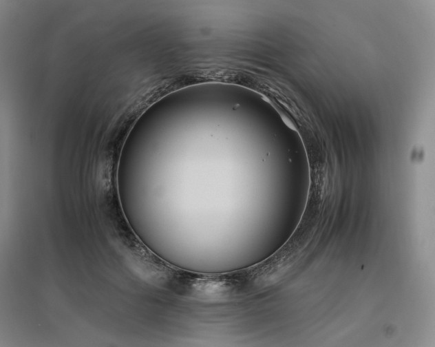 X0000097500602200802221446