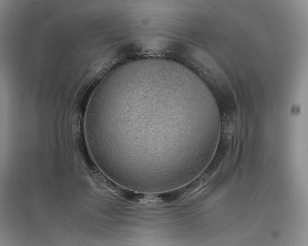 X0000097500603200802221446