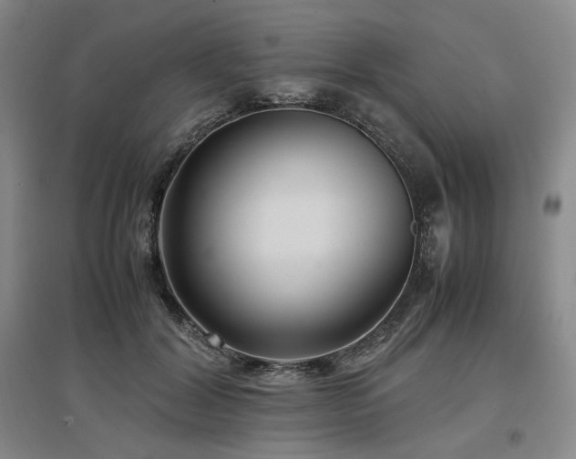 X0000097500604200802221446