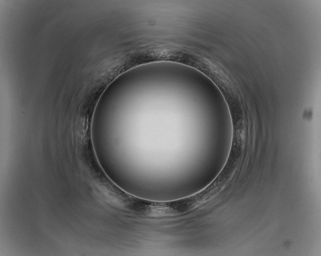 X0000097500605200802221446