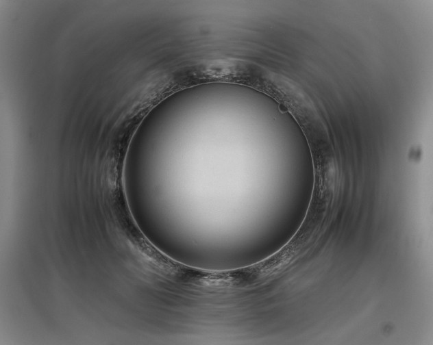 X0000097500606200802221446