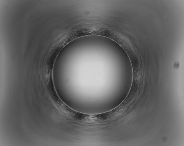 X0000097500607200802221446